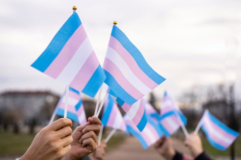Transgender Day of Visibility. Group of People Holding Transgender Flags Outdoors