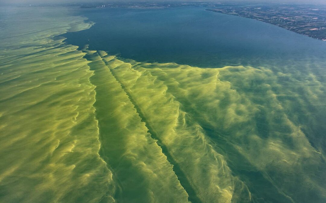 8 fascinating facts about Lake Erie, the most underrated Great Lake