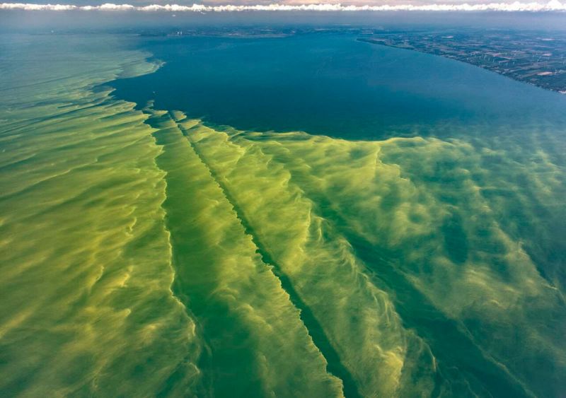 There are a few fun Lake Erie facts you should know before qualifying yourself as a true-blue Michigander.
