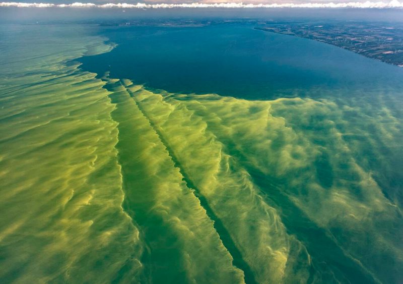 There are a few fun Lake Erie facts you should know before qualifying yourself as a true-blue Michigander.