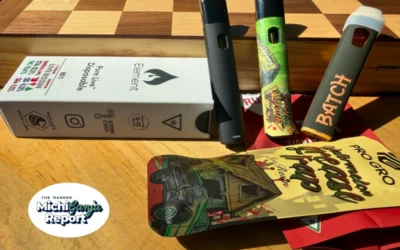 Disposable vapes are everywhere in Michigan. Most of them kinda suck.