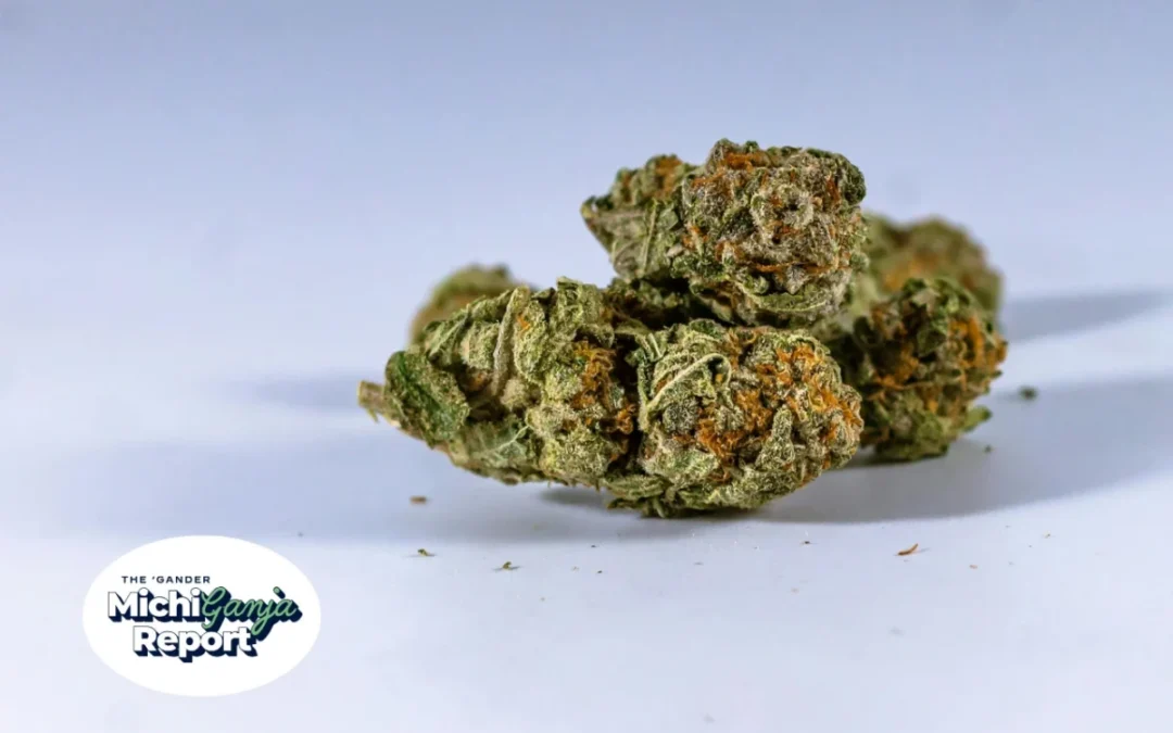 10 Michigan weed deals worth chasing this 420