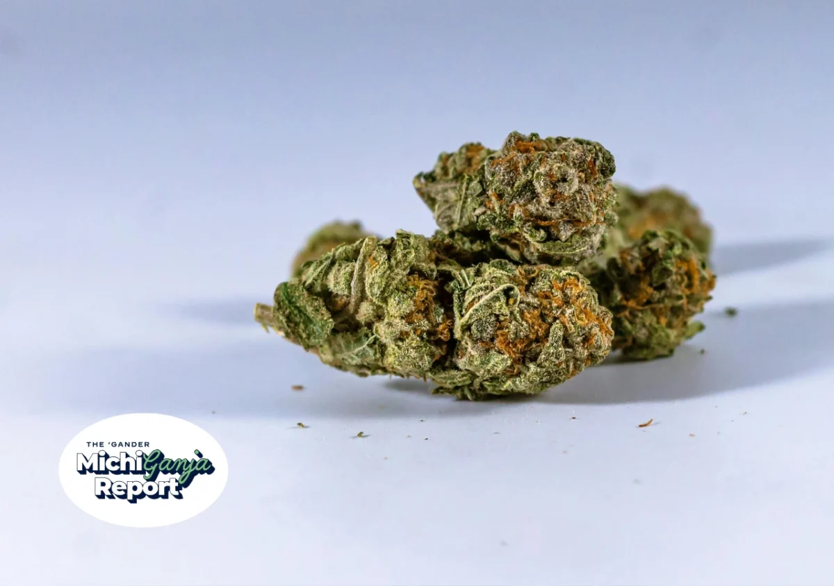 10 Michigan weed deals worth chasing this 420