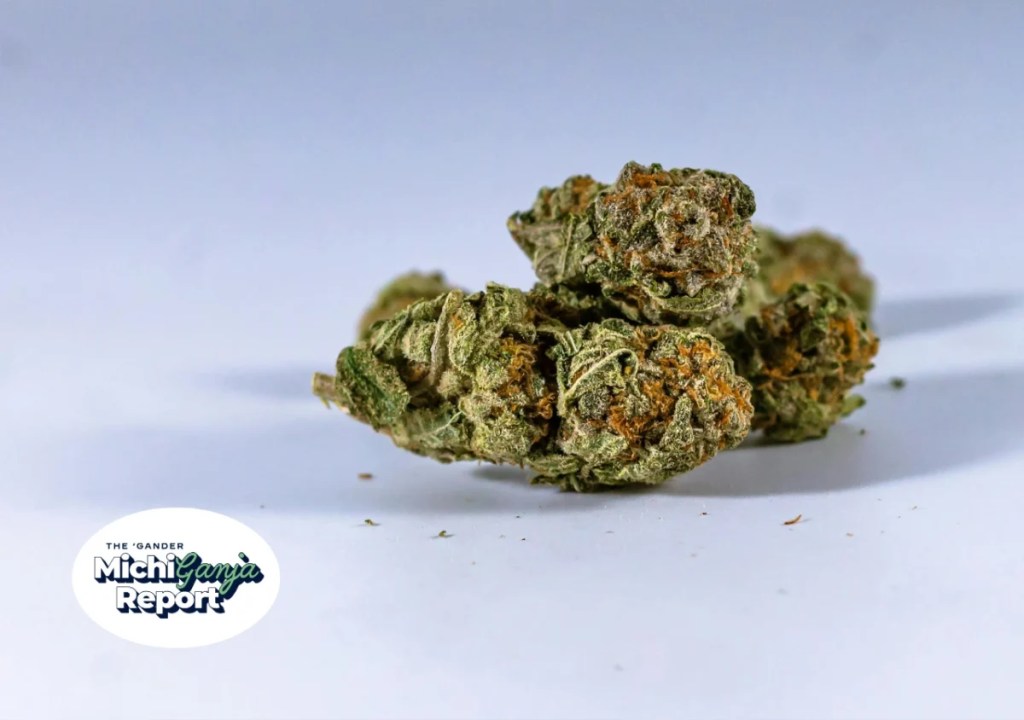10 Michigan weed deals worth chasing this 420