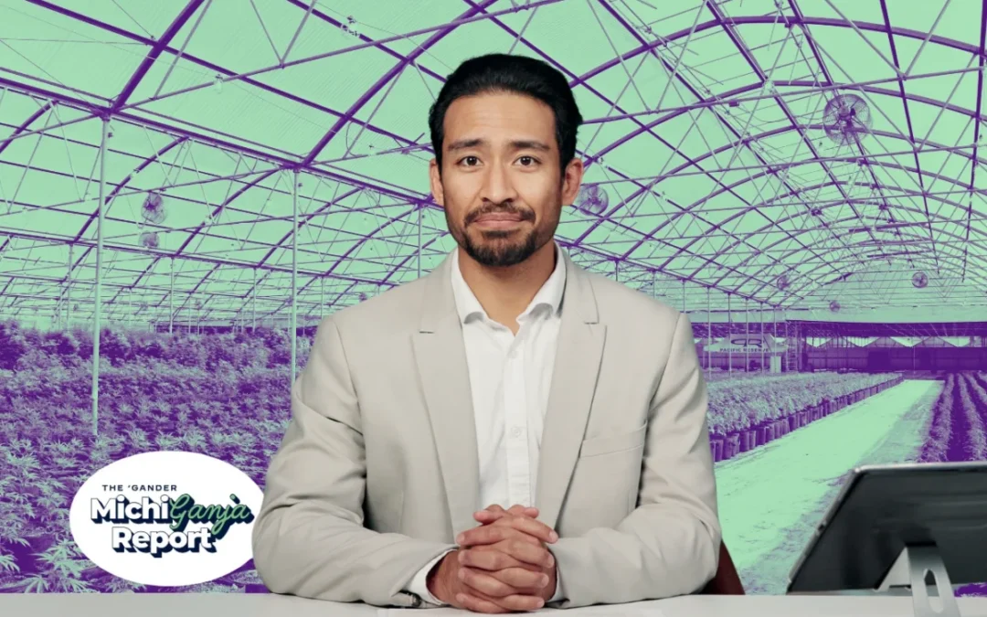 6 quick hits of cannabis news from across Michigan