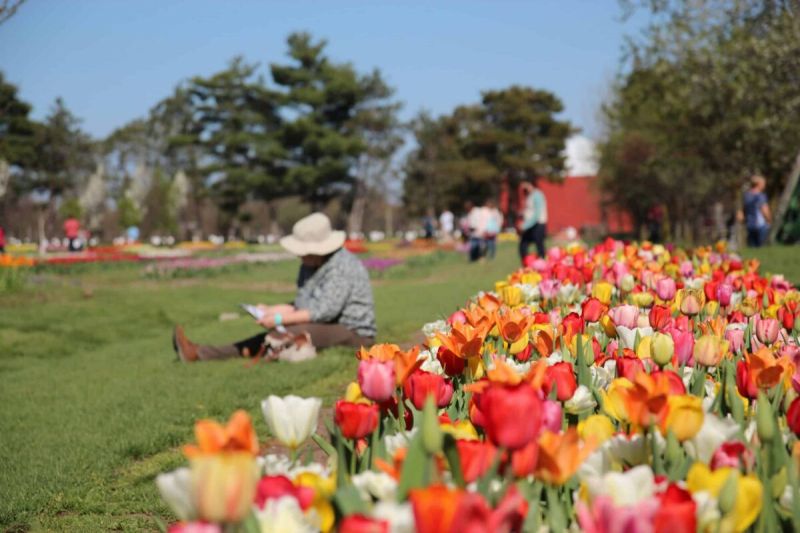 When May arrives, Holland comes to life with a time-treasured tradition featuring food, floats, and—of course—flowers.