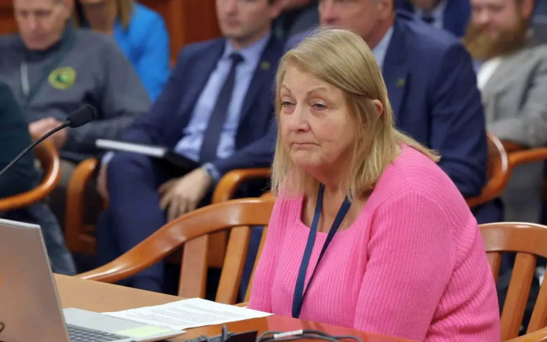 State Rep. Denise Mentzer wants Michiganders to ask hard questions about data centers