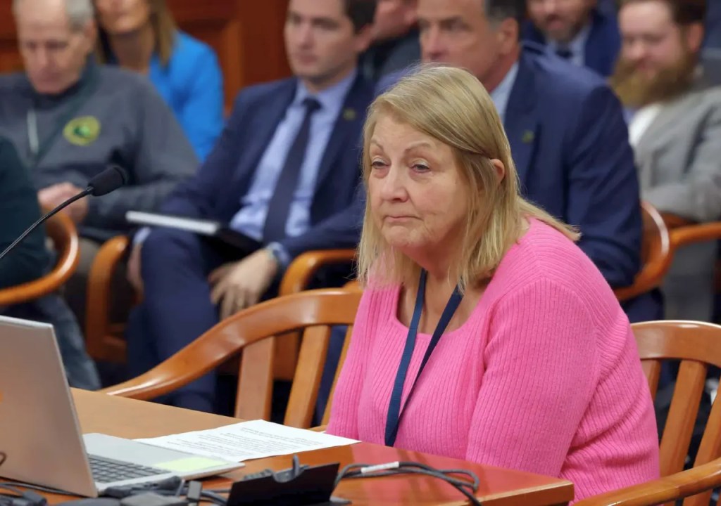 State Rep. Denise Mentzer wants Michiganders to ask hard questions about data centers