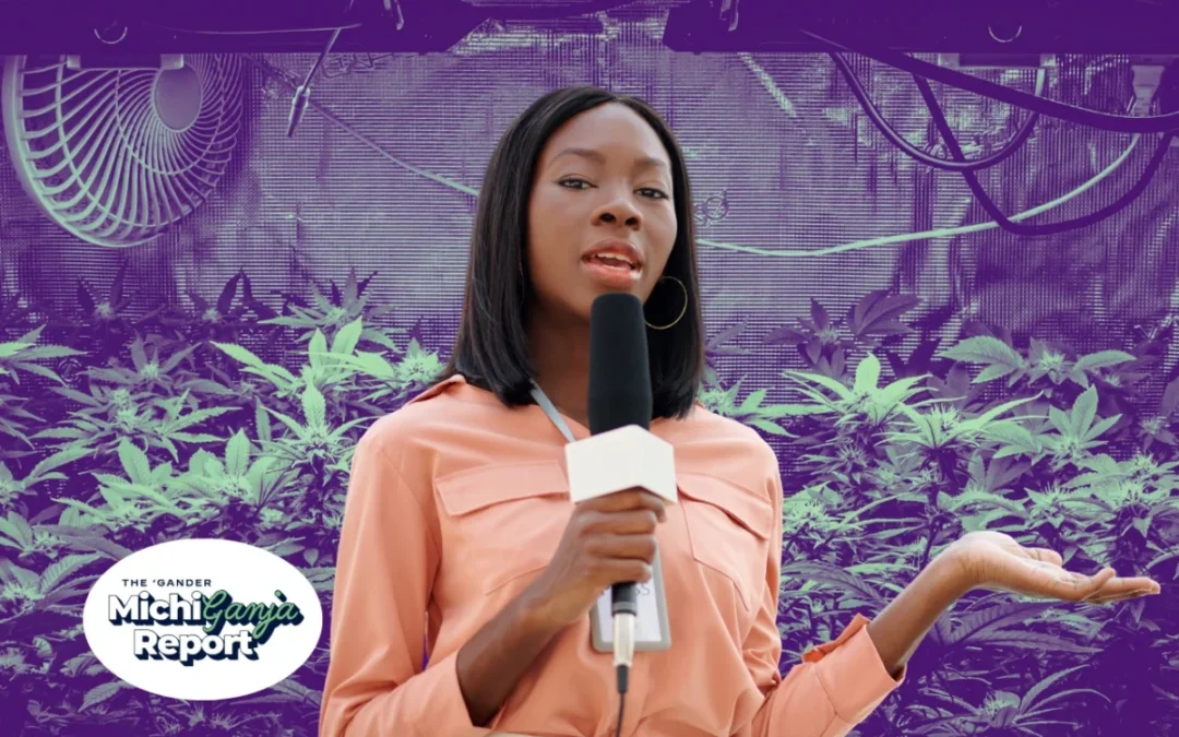 6 quick hits of cannabis news from across Michigan