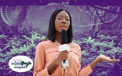 6 quick hits of cannabis news from across Michigan