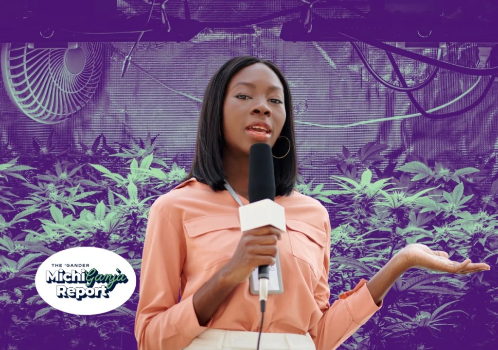 6 quick hits of cannabis news from across Michigan