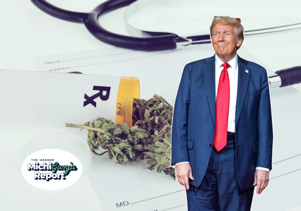 What Trump’s latest marijuana reclassification actually means for Michigan stoners