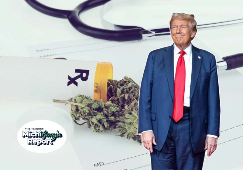 marijuana