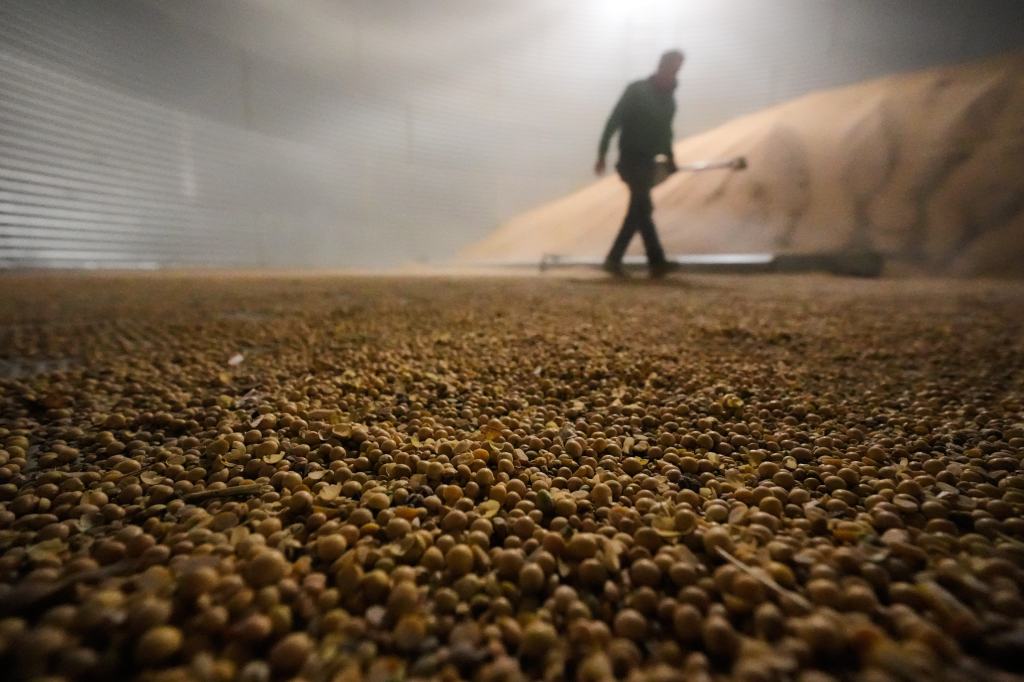 Michigan farmer operating costs, bankruptcies, suicides spike under Trump