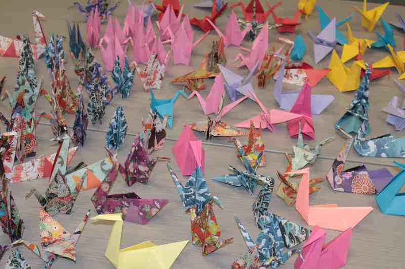 Nonprofit Origami For Good is youth-founded and run, with the goal of mailing origami creations and encouraging messages to nursing homes, elementary schools, hospitals, and other organizations in need of support.