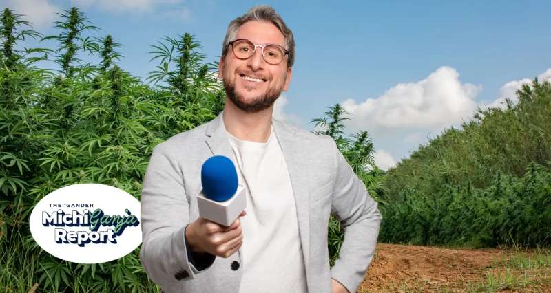 cannabis
