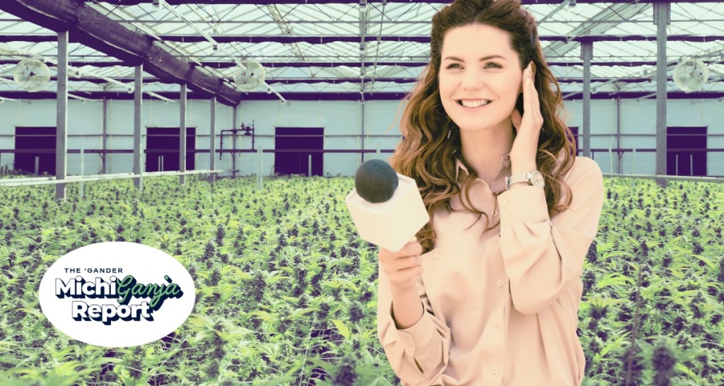 8 quick hits of cannabis news from across Michigan