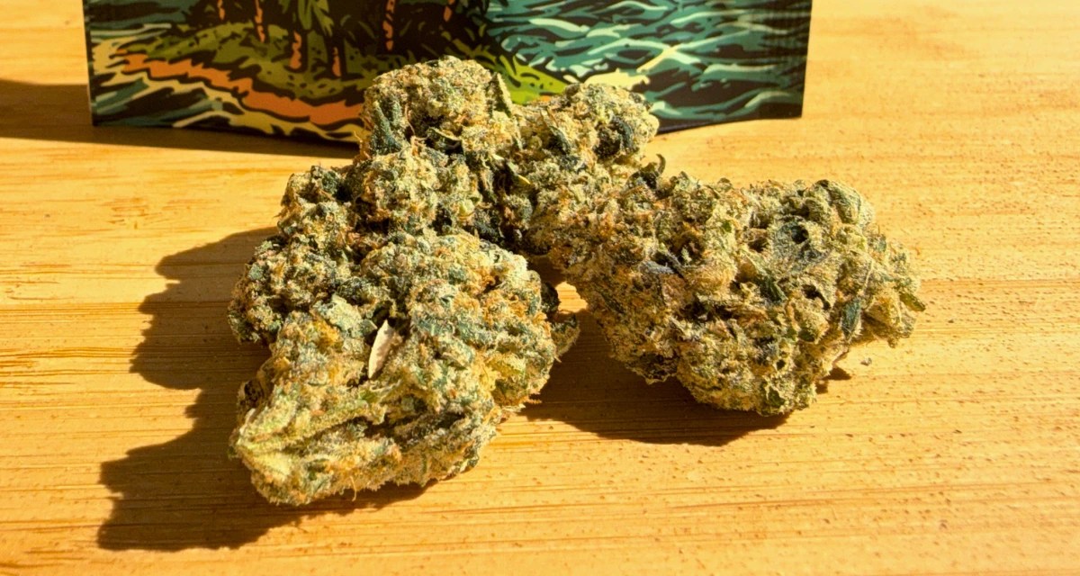 cannabis