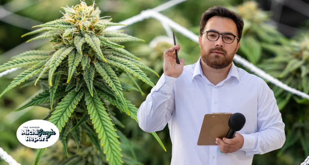 7 quick hits of cannabis news from across Michigan