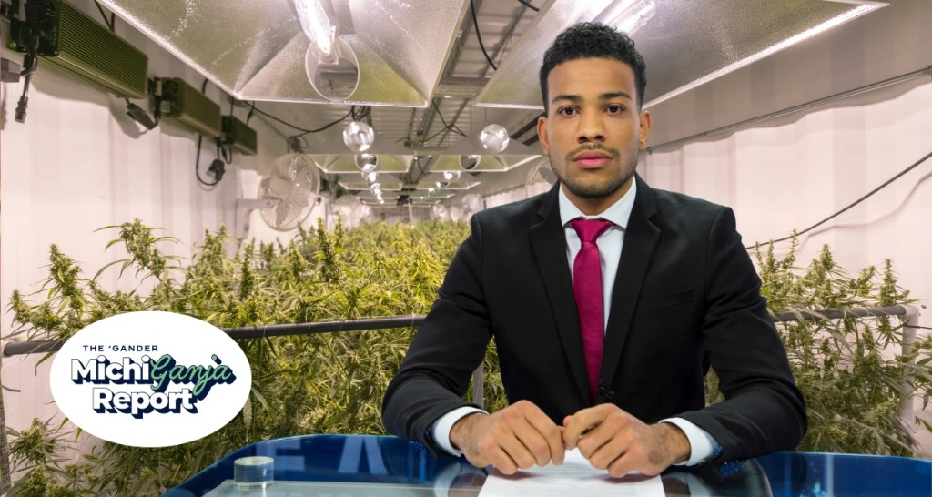 7 quick hits of cannabis news from across Michigan