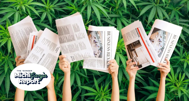 cannabis