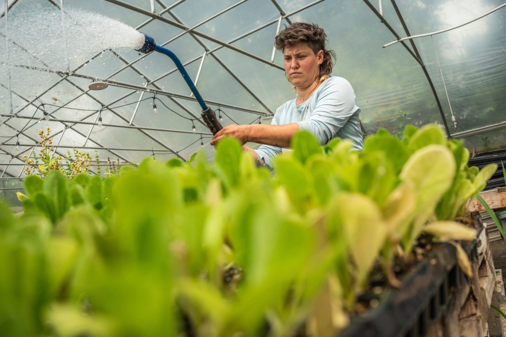 For small urban farmers, business is booming amid cyclospora outbreak