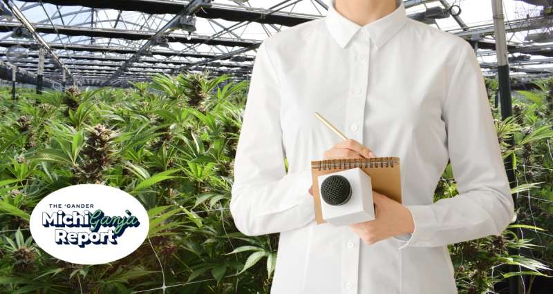 cannabis