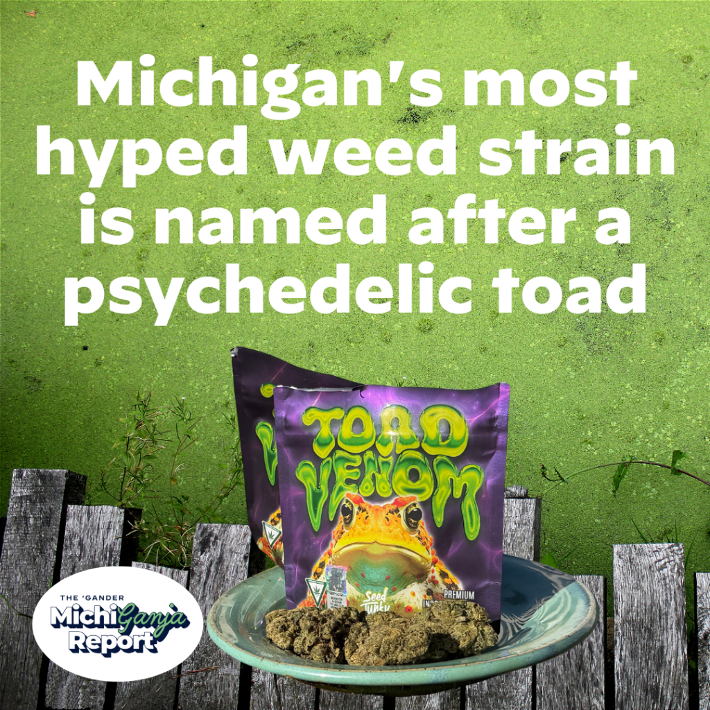 Is Michigan’s most hyped weed strain worth the drive?