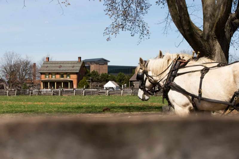 day trips from Lansing; a horse and carriage at Greenfield Village