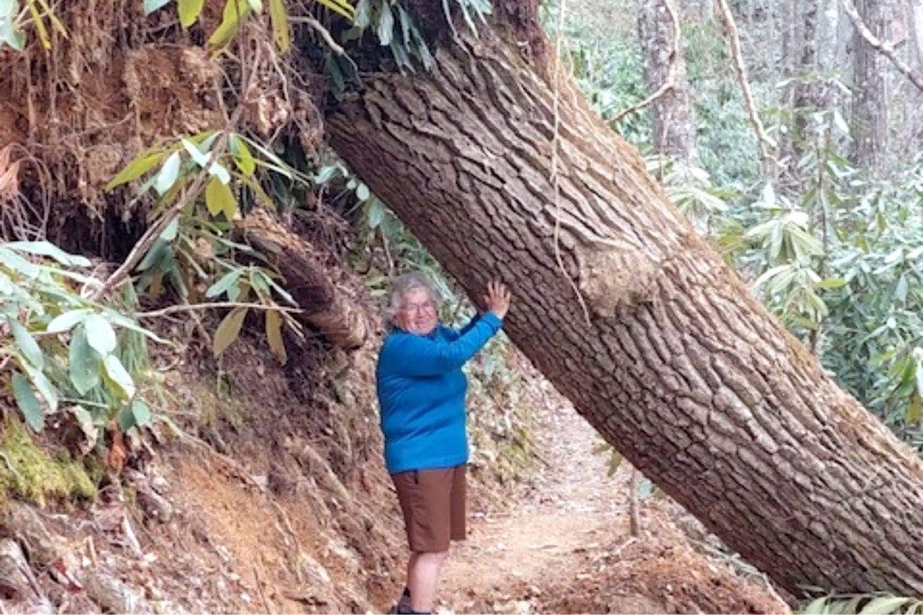 Michigan woman is oldest to thru-hike Appalachian Trail
