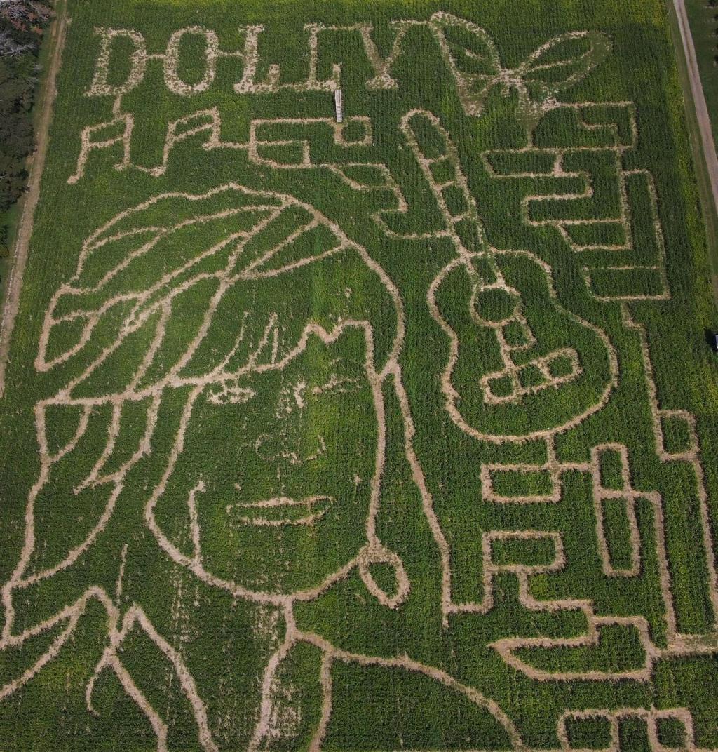 West MI corn maze becomes Dolly Parton memorial