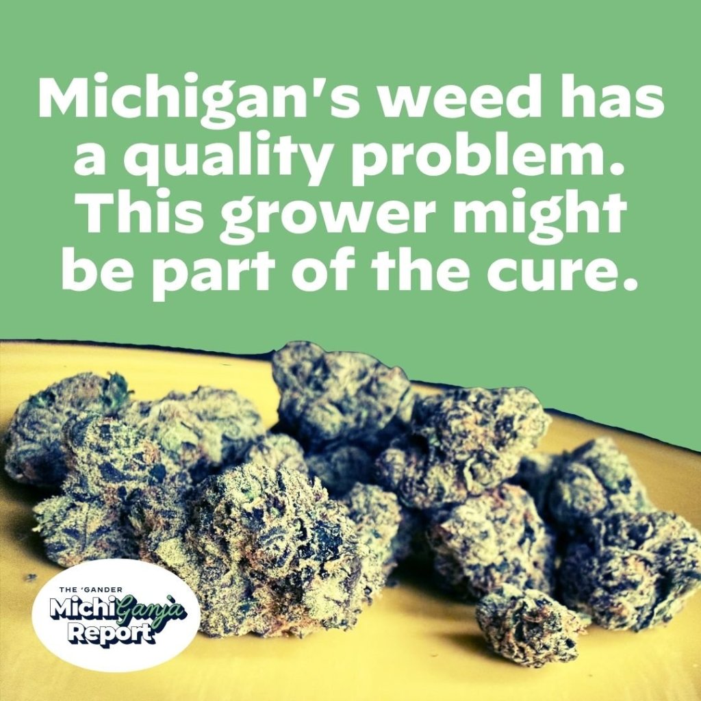 Is this the best weed money can buy in Michigan?