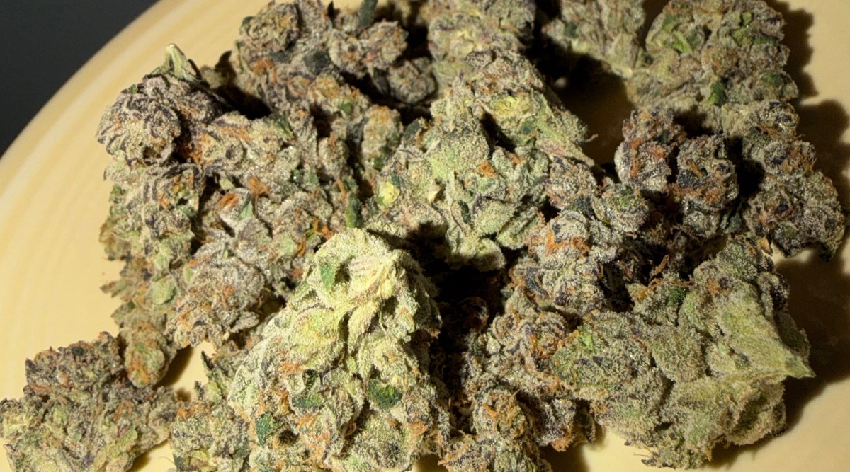 cannabis