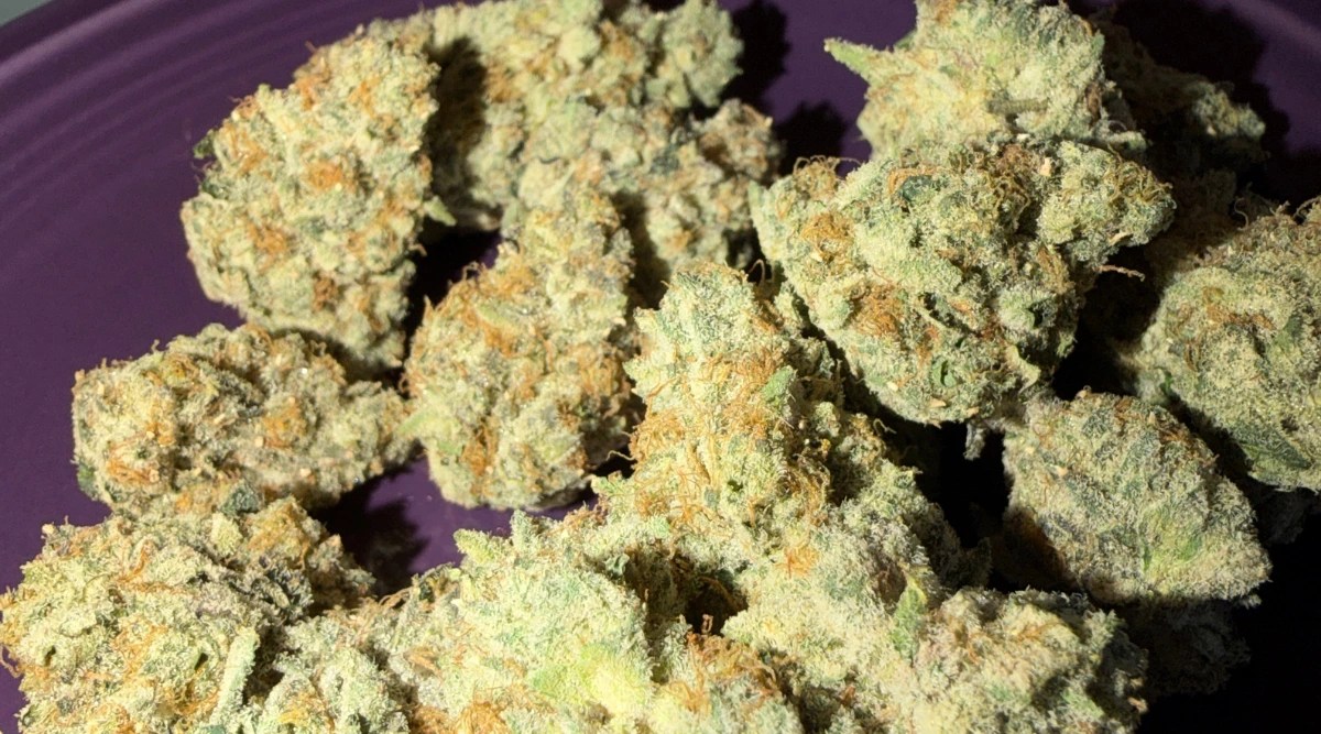 cannabis