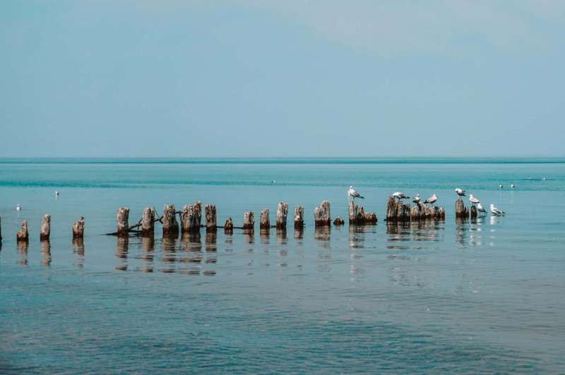 Whitefish Point
