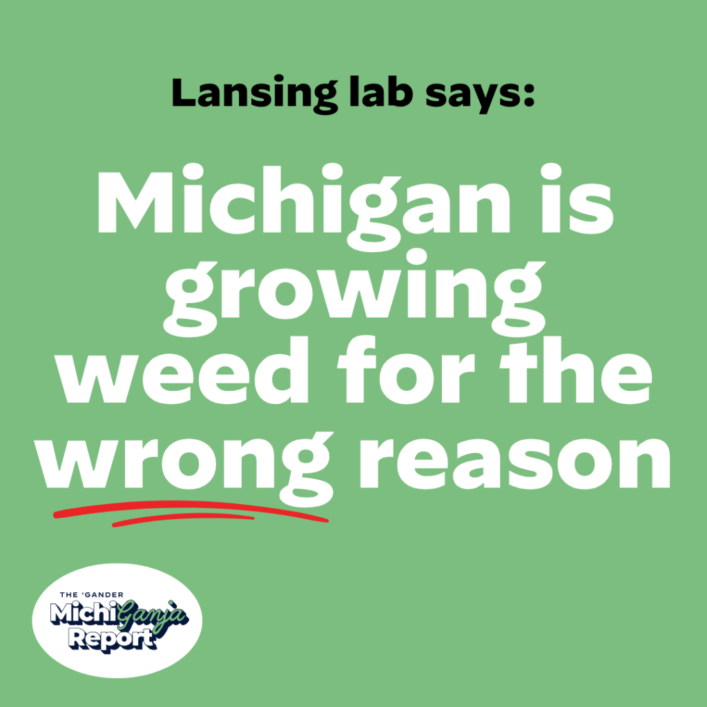 5 things happening in Michigan weed right now