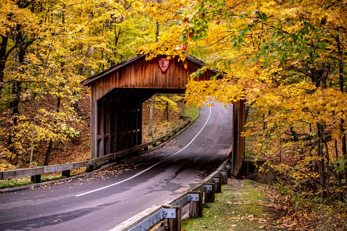 leaf peeping in Michigan