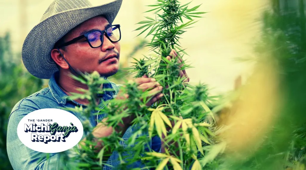 9 quick hits of cannabis news from across Michigan
