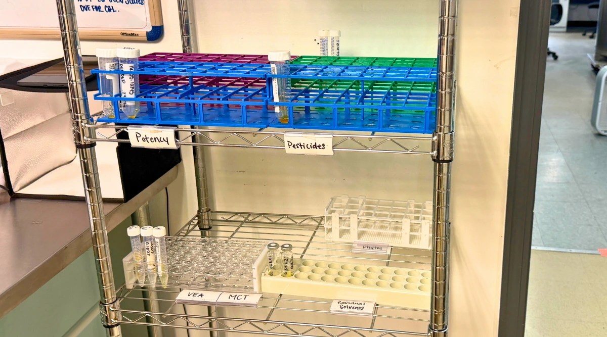 lab