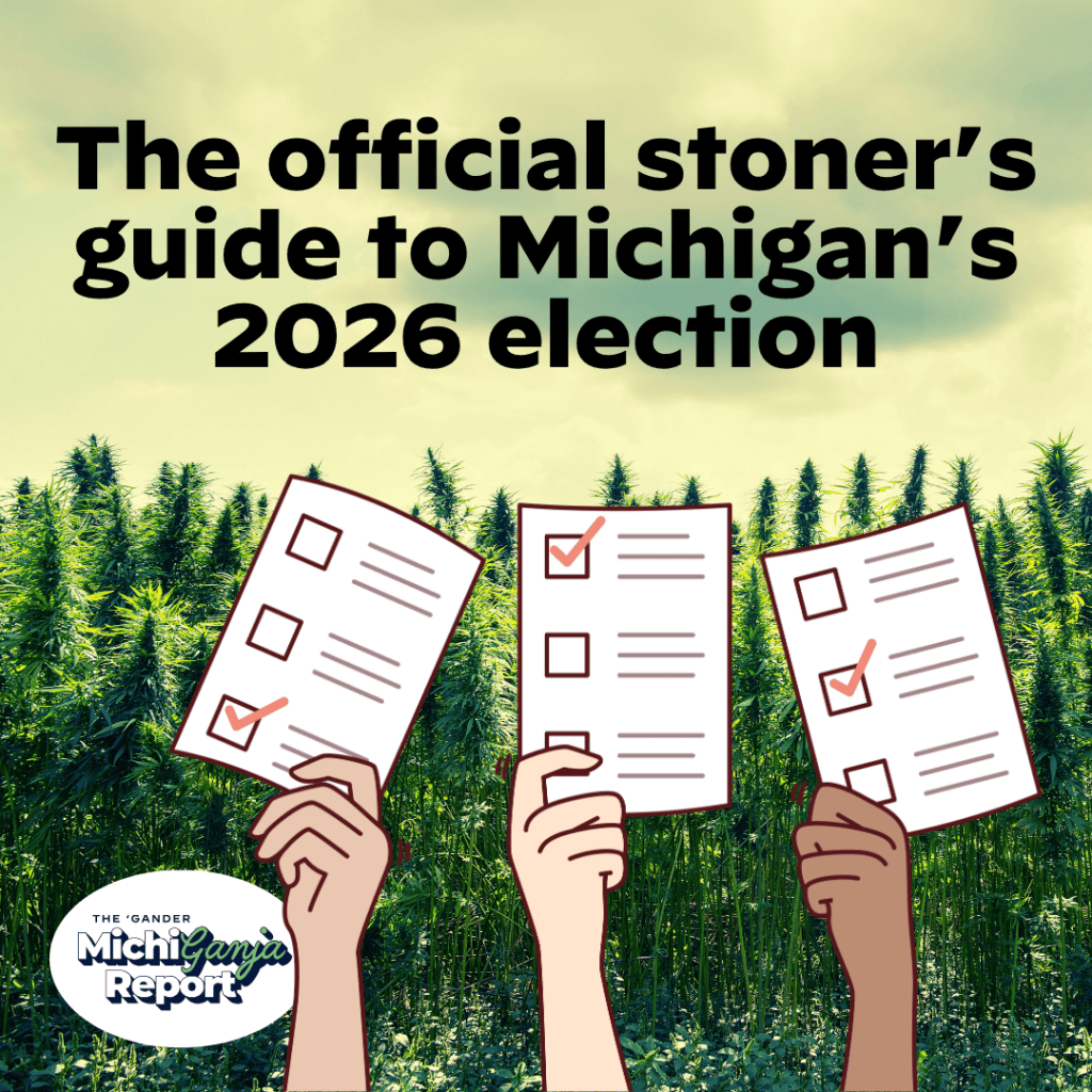 Everything Michigan stoners need to know before Election Day