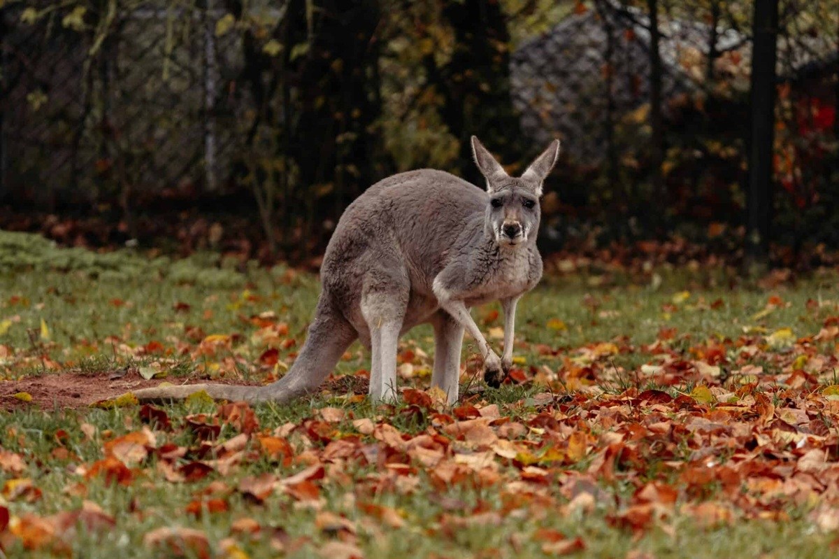Capital City's fall bucket list: 11 must-do October activities in Lansing