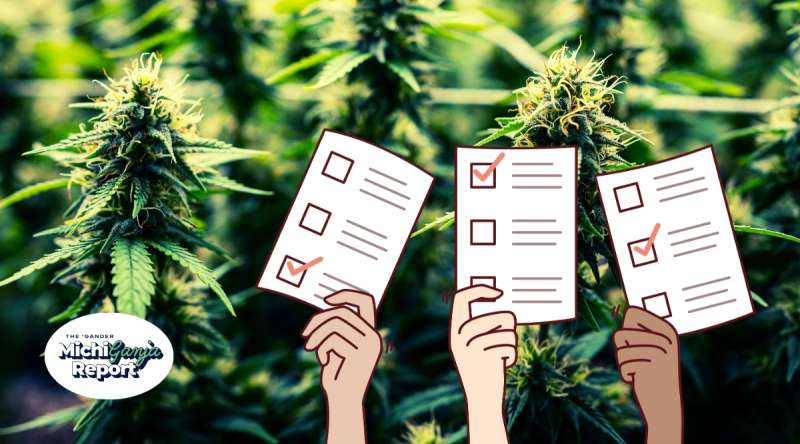 Stoners have decisions to make in this year's election.